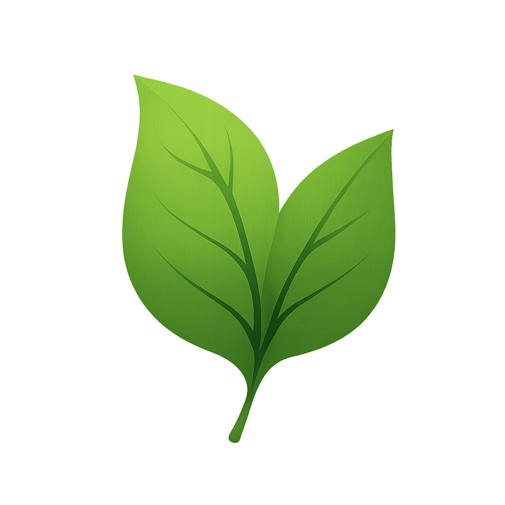 meioambiente.info602.com